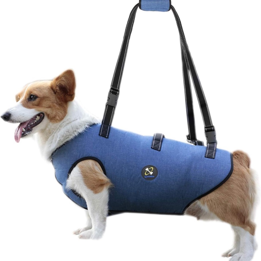 Dog Lift Harness, Adjustable Padded Rehabilitation Sling (Blue) Size Medium